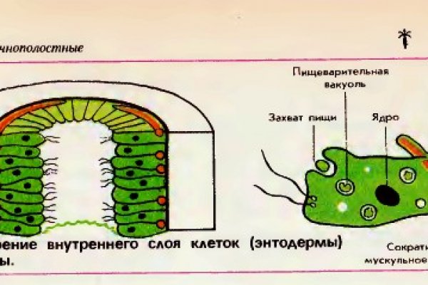 Кракен не приходят деньги