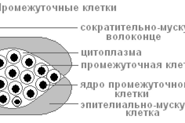 Пользователь не найден кракен даркнет