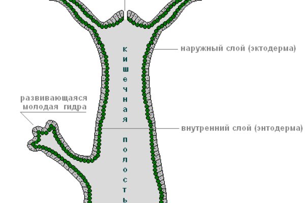 Кракен даркнет поддержка