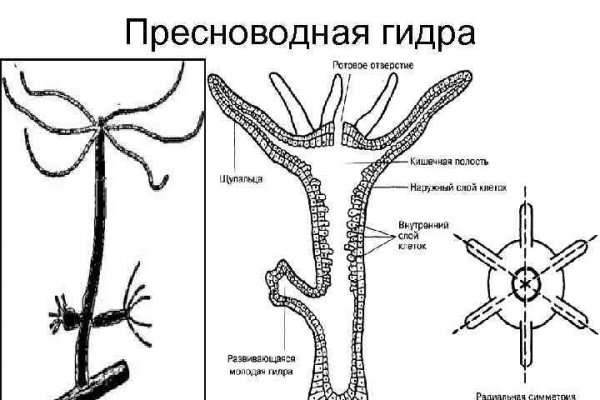 Кракен марке даркнет