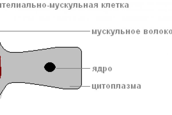 Кракен маркетплейс скачать