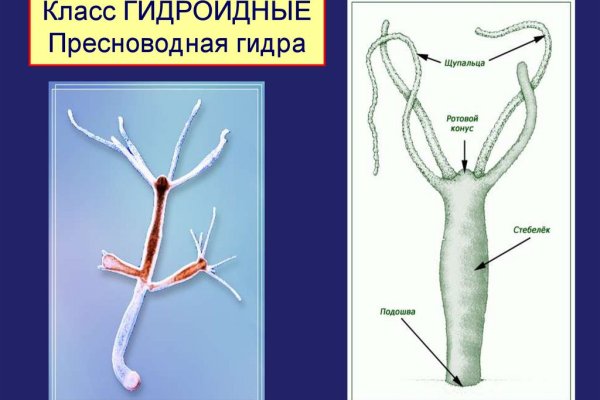 Ссылка на кракен тор kraken014 com