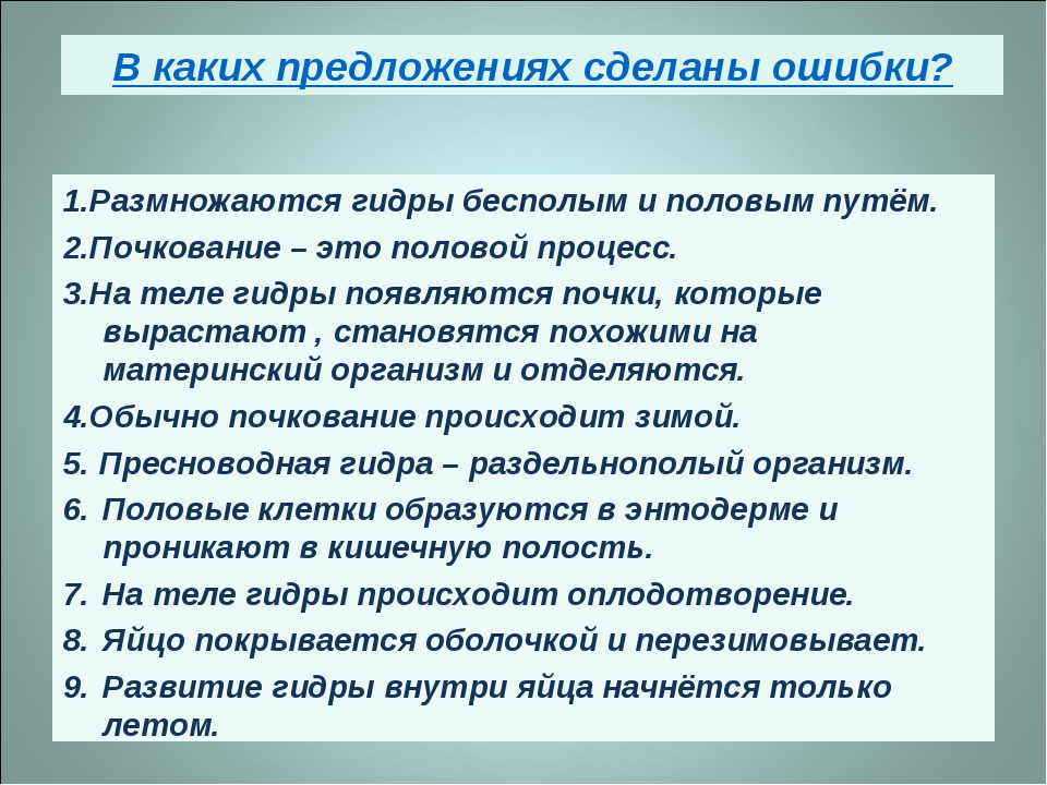 Кракен не работает сегодня